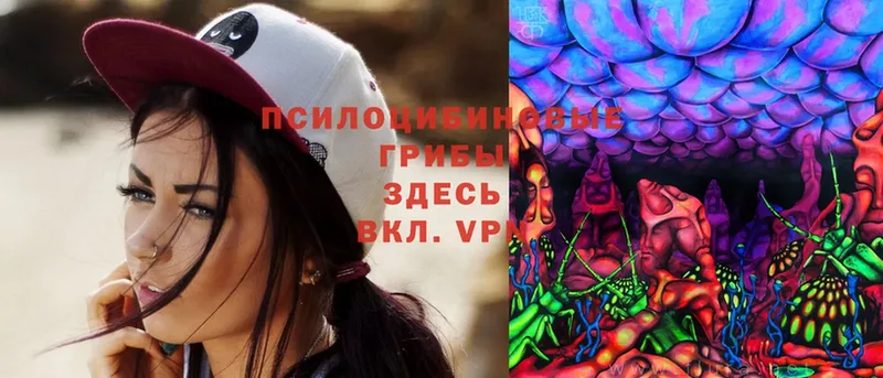 Галлюциногенные грибы Magic Shrooms  mega как зайти  Новая Ляля 